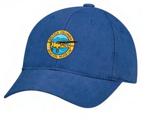 BCAM Norseman Youth Hat